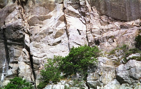 この岩面の途中で大型の鳥が悠然と